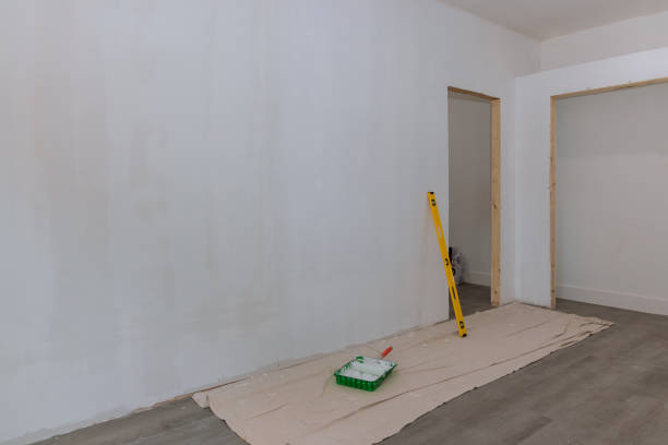 Best Drywall Sanding and Smoothing  in Wanakah, NY